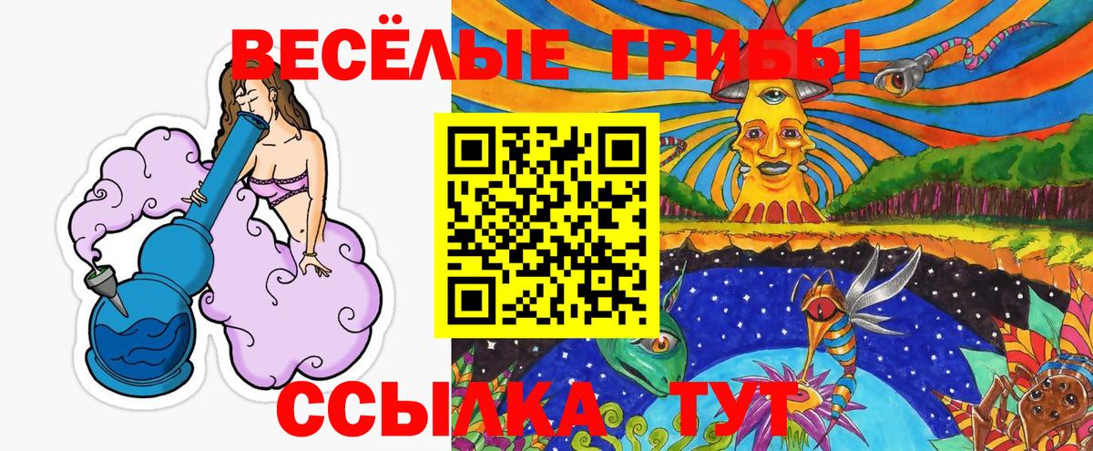 Галлюциногенные грибы мицелий  Галлюциногенные грибы Psilocybine cubensis  Улан-Удэ  Вход с VPN 